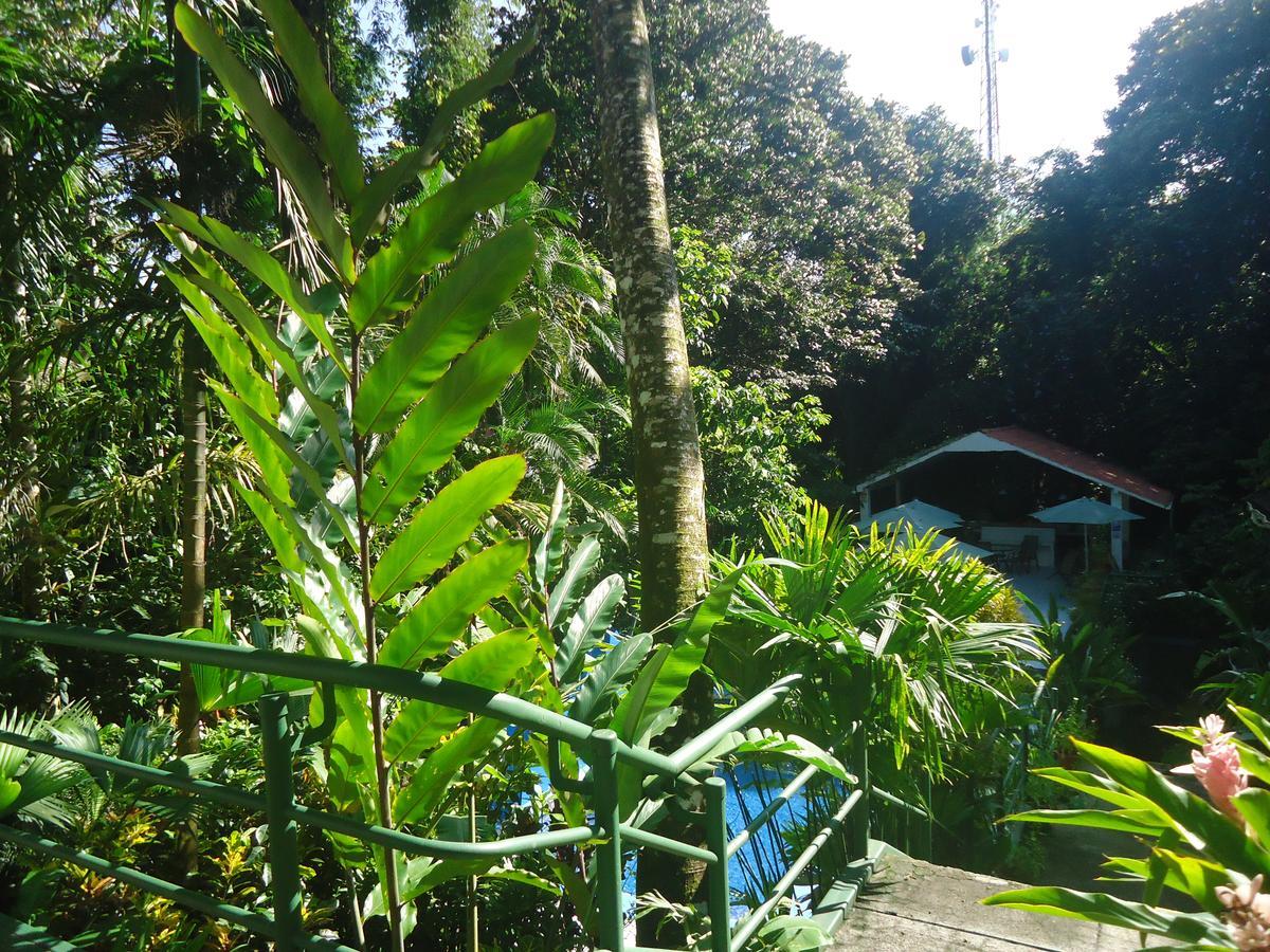 Hotel Mandarina Quepos Exterior foto