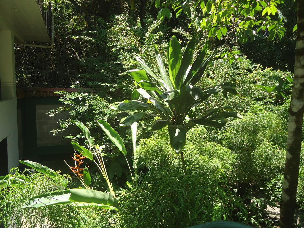 Hotel Mandarina Quepos Exterior foto